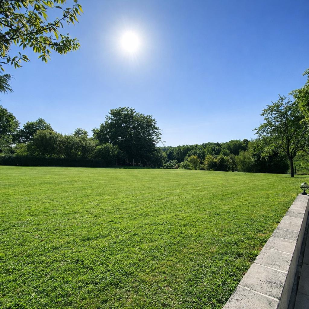 Le jardin en plein soleil